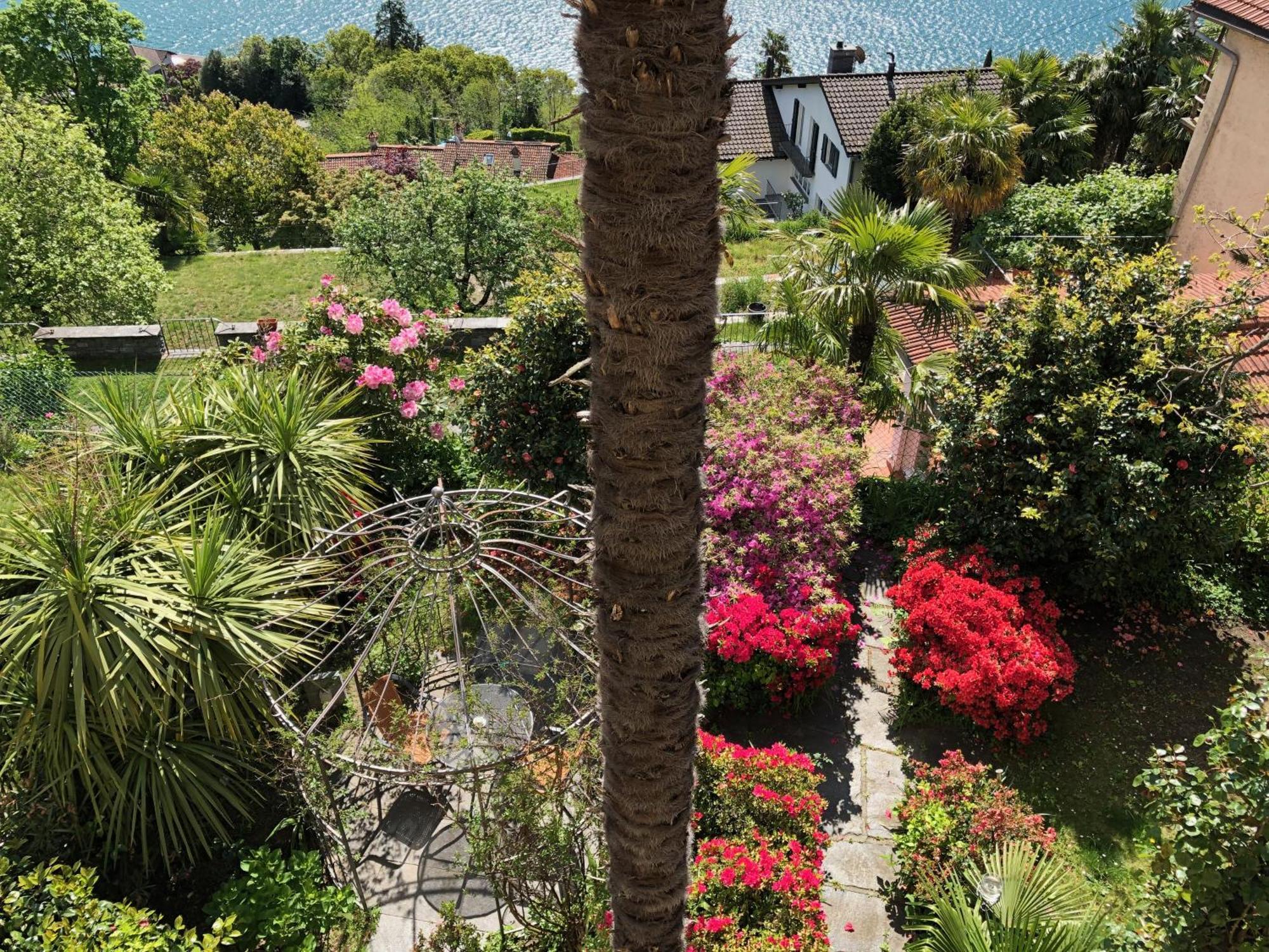 Casa Concerto B&B Brissago Extérieur photo